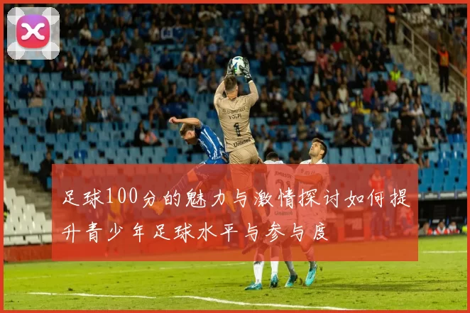 足球100分的魅力与激情探讨如何提升青少年足球水平与参与度