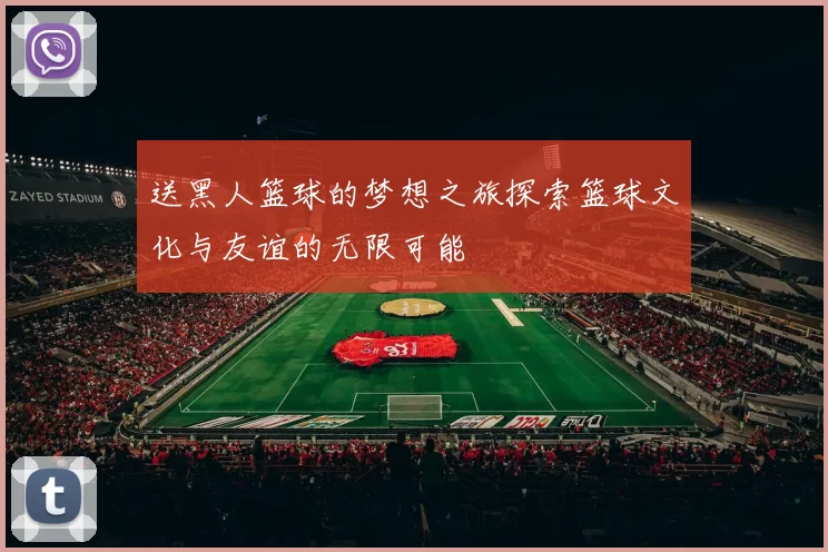 送黑人篮球的梦想之旅探索篮球文化与友谊的无限可能