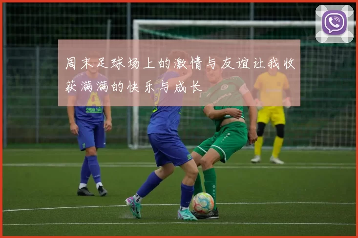周末足球场上的激情与友谊让我收获满满的快乐与成长